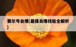 賽爾號自爆，最強自爆技能全解析