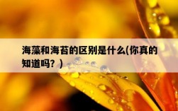 海藻和海苔的區別是什么，你真的知道嗎？