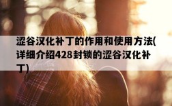 澀谷漢化補丁的作用和使用方法，詳細介紹428封鎖的澀谷漢化補丁