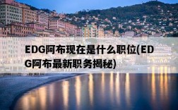EDG阿布現在是什么職位，EDG阿布最新職務揭秘