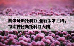 賽爾號斯托利亞，全新版本上線，探索神秘斯托利亞大陸