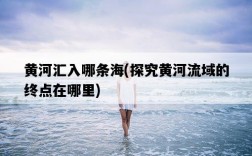 黃河匯入哪條海，探究黃河流域的終點在哪里