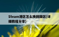 Steam港區怎么換回國區，詳細教程分享