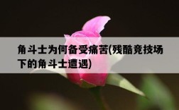 角斗士為何備受痛苦，殘酷競技場下的角斗士遭遇