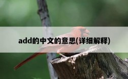 add的中文的意思，詳細解釋
