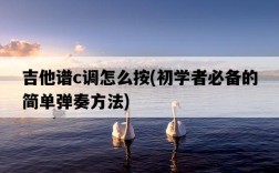 吉他譜c調怎么按，初學者必備的簡單彈奏方法
