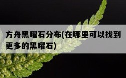 方舟黑曜石分布，在哪里可以找到更多的黑曜石