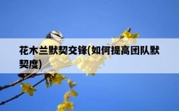 花木蘭默契交鋒，如何提高團隊默契度