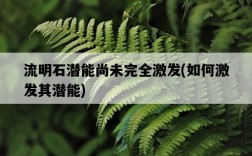 流明石潛能尚未完全激發，如何激發其潛能