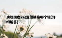 腐爛國度2設置領袖按哪個鍵，詳細解答