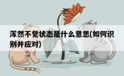 渾然不覺狀態是什么意思，如何識別并應對