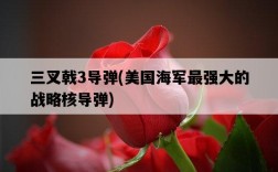 三叉戟3導彈，美國海軍最強大的戰略核導彈