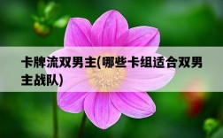 卡牌流雙男主，哪些卡組適合雙男主戰隊