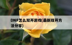 DNF怎么雙開游戲，最新雙開方法分享