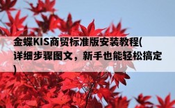 金蝶KIS商貿標準版安裝教程，詳細步驟圖文，新手也能輕松搞定