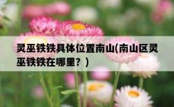 靈巫鐵鐵具體位置南山，南山區靈巫鐵鐵在哪里？