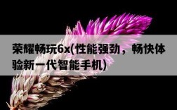 榮耀暢玩6x，性能強勁，暢快體驗新一代智能手機