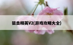 狙擊精英V2，游戲攻略大全
