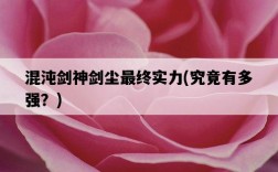混沌劍神劍塵最終實力，究竟有多強？