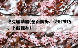 洛克輔助器，全面解析、使用技巧、下載推薦