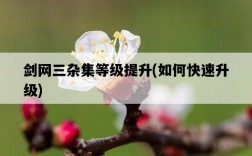 劍網三雜集等級提升，如何快速升級