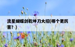 流星蝴蝶劍乾坤刀大招，哪個更厲害？