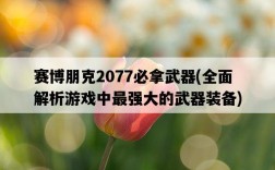 賽博朋克2077必拿武器，全面解析游戲中最強大的武器裝備
