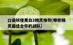 口袋妖怪黑白2精靈推薦，哪些精靈最適合你的戰隊
