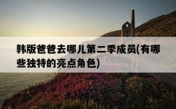 韓版爸爸去哪兒第二季成員，有哪些獨特的亮點角色