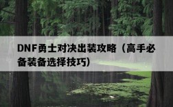 DNF勇士對決出裝攻略（高手必備裝備選擇技巧）