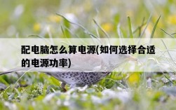 配電腦怎么算電源，如何選擇合適的電源功率