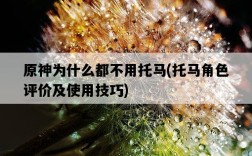 原神為什么都不用托馬，托馬角色評價及使用技巧