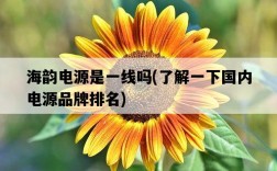 海韻電源是一線嗎，了解一下國內電源品牌排名