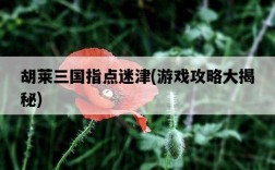 胡萊三國指點迷津，游戲攻略大揭秘