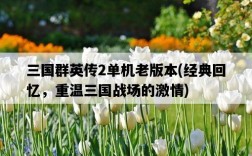 三國群英傳2單機老版本，經典回憶，重溫三國戰場的激情