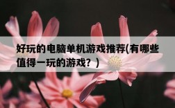 好玩的電腦單機游戲推薦，有哪些值得一玩的游戲？