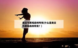 奧日與黑暗森林所有，什么是奧日與黑暗森林所有？