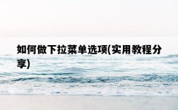 如何做下拉菜單選項，實用教程分享