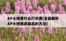 AP小炮靠什么打傷害，全面解析AP小炮提高輸出的方法