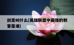 劍圣叫什么，英雄聯盟中最強的刺客是誰