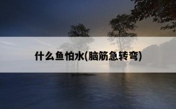 什么魚怕水，腦筋急轉彎