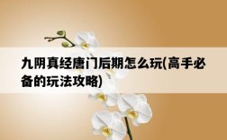 九陰真經唐門后期怎么玩，高手必備的玩法攻略