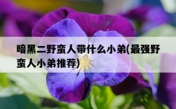 暗黑二野蠻人帶什么小弟，最強野蠻人小弟推薦