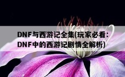 DNF與西游記全集，玩家必看：DNF中的西游記劇情全解析