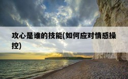 攻心是誰的技能，如何應對情感操控