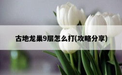 古地龍巢9層怎么打，攻略分享