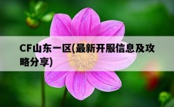 CF山東一區，最新開服信息及攻略分享