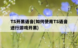 TS開黑語音，如何使用TS語音進行游戲開黑