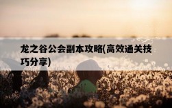 龍之谷公會副本攻略，高效通關技巧分享