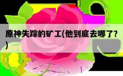 原神失蹤的礦工，他到底去哪了？